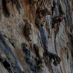 #wolfclimber 
🐺@physiolau 
.
.
.
.
.
.
.
.
.
#lalobera #routsetter #wolvesdontbark #boulderingspain #routesetter #escaladadeportiva  #arrampicata #rockclimbing #climbing #boulder #bloque #escalador  #climber #bulder #climbingspain #chalk #grimper #climbinghard #roar #grind #escalaresmipasion